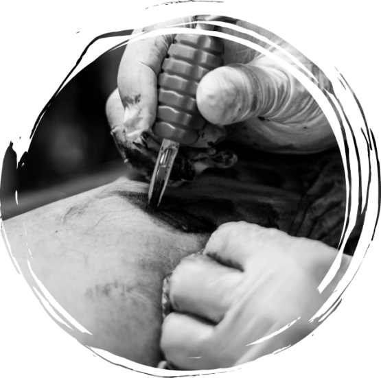 {{brizy_dc_image_alt imageSrc=